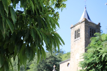 Eglise de Lespinassière